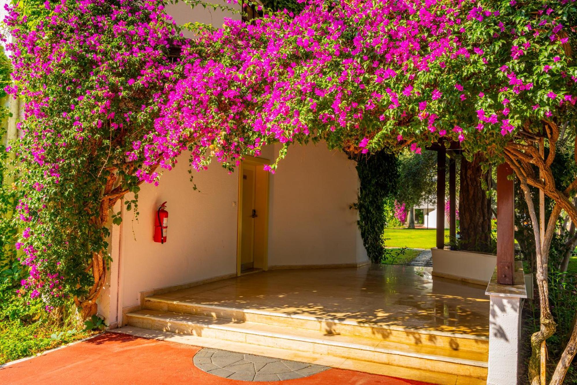 Emelda Sun Club Hotel Kemer Ngoại thất bức ảnh